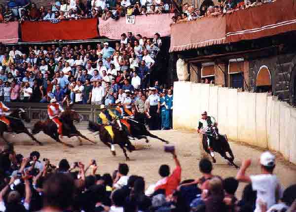 [the palio in Sienna]