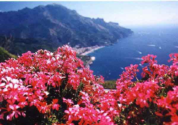 [Ravello]